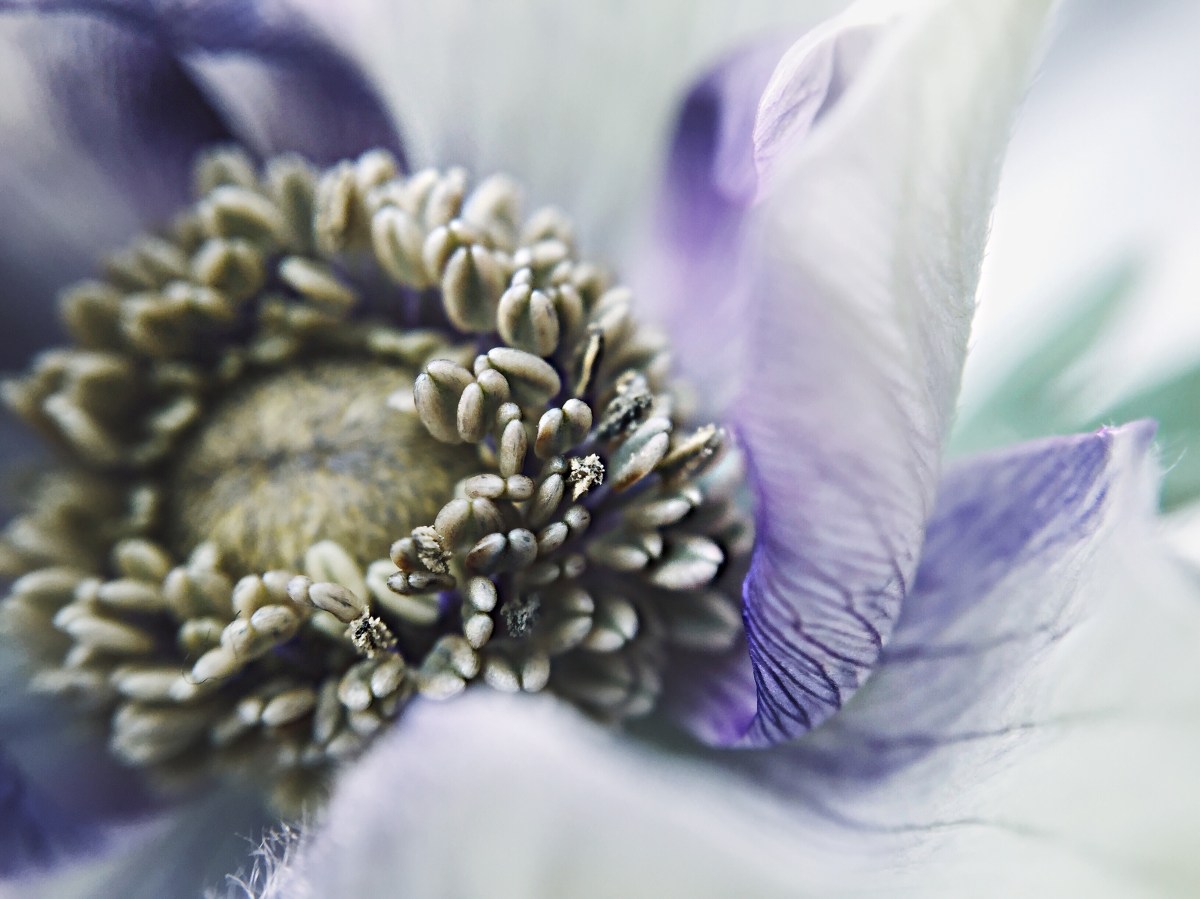 Processed with VSCOcam with a8 preset