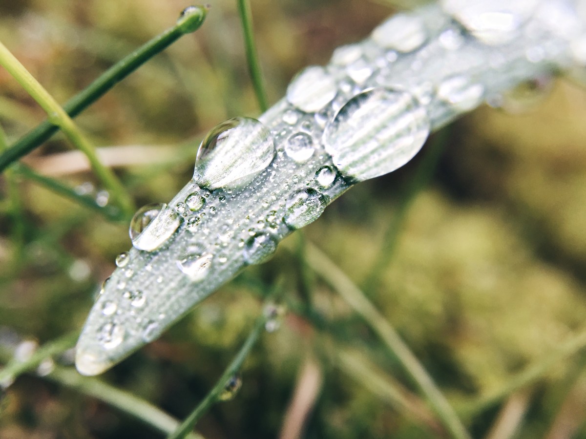 Processed with VSCO with hb1 preset