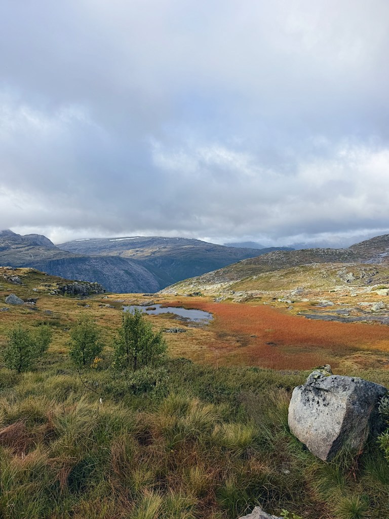 A scenic view of a mountainous landscape featuring a grassy foreground with patches of red vegetation, a small pond, and cloudy skies.
